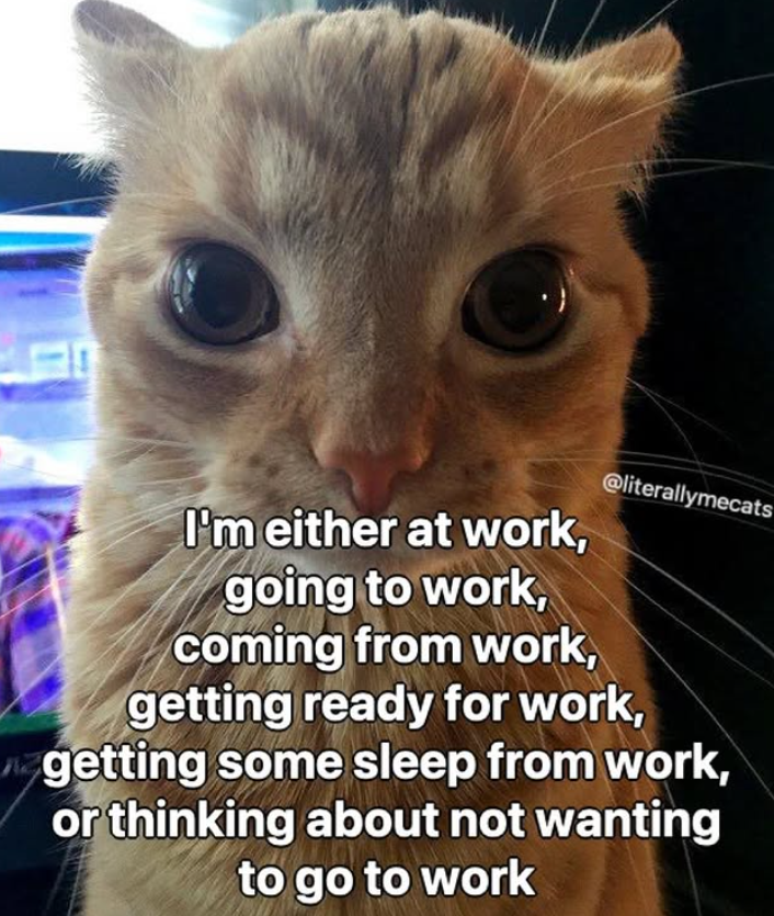 @literallymecats I'm either at work, going to work, coming from work, getting ready for work, getting some sleep from work, or thinking about not wanting to go to work