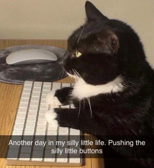 Another day in my silly little life. Pushing the silly little buttons