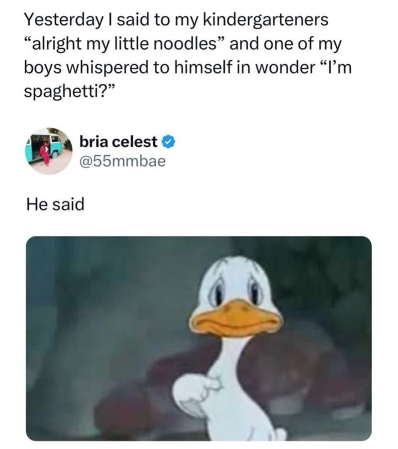 Yesterday I said to my kindergarteners "alright my little noodles" and one of my boys whispered to himself in wonder "I'm spaghetti?" bria celest❤ @55mmbae He said