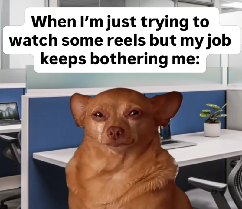 When I'm just trying to watch some reels but my job keeps bothering me: