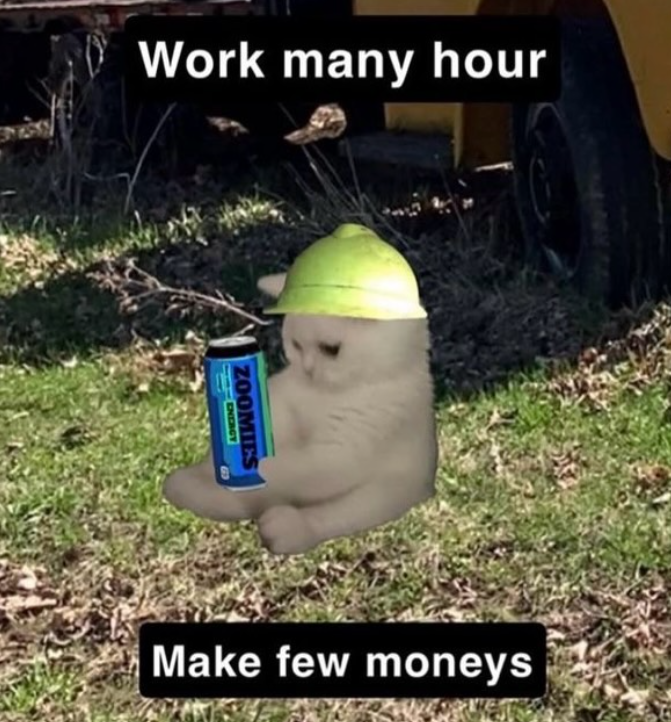 Work many hour ZOOMIES ENERGY Make few moneys