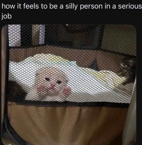 how it feels to be a silly person in a serious job