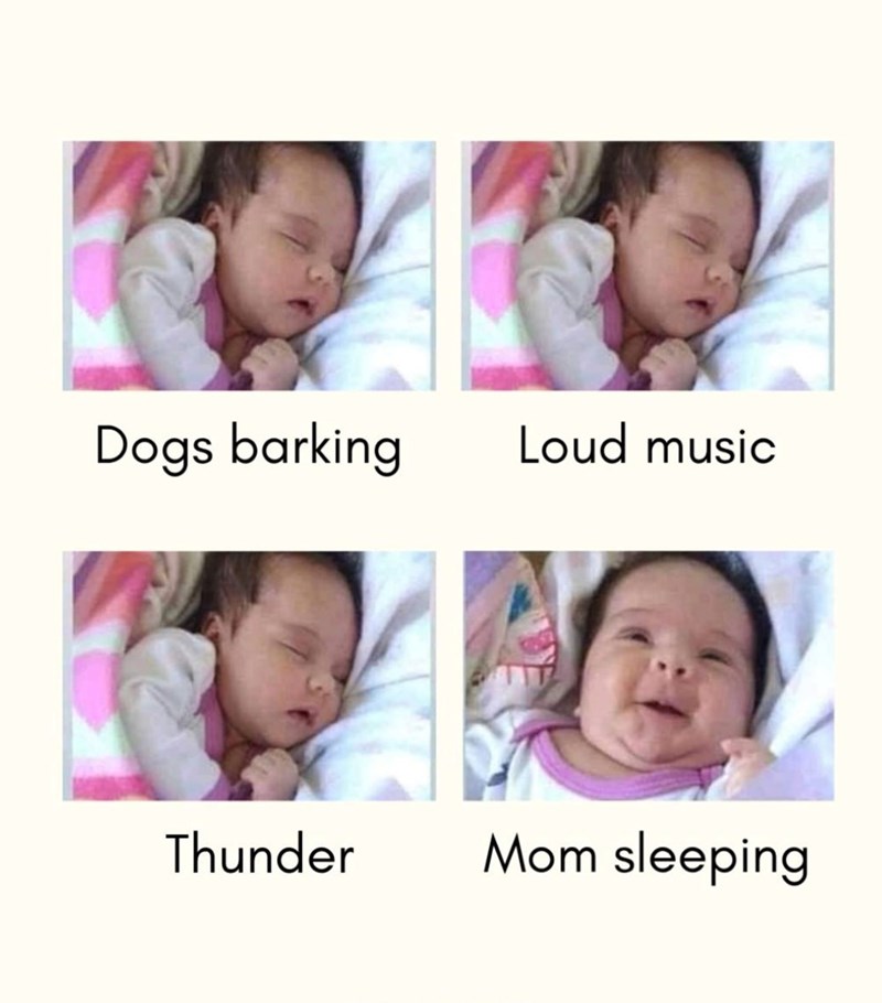 Dogs barking Loud music Thunder Mom sleeping