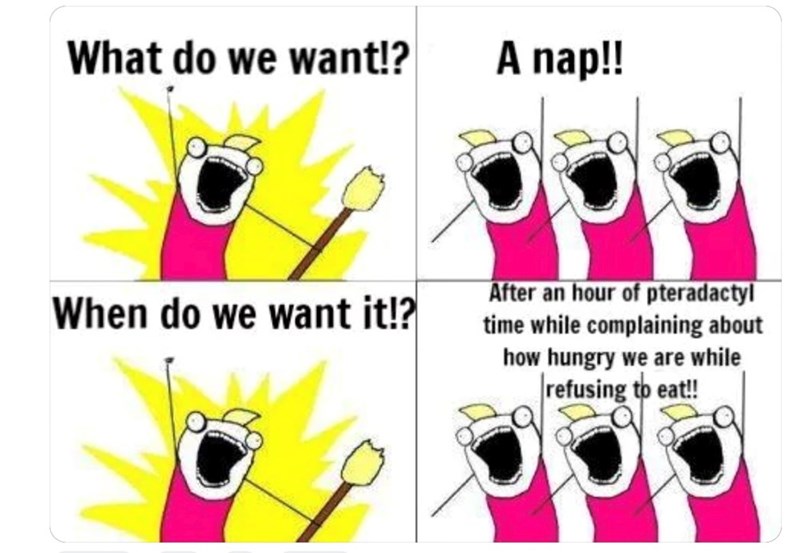 What do we want!? A nap!! When do we want it!? After an hour of pteradactyl time while complaining about how hungry we are while refusing to eat!!