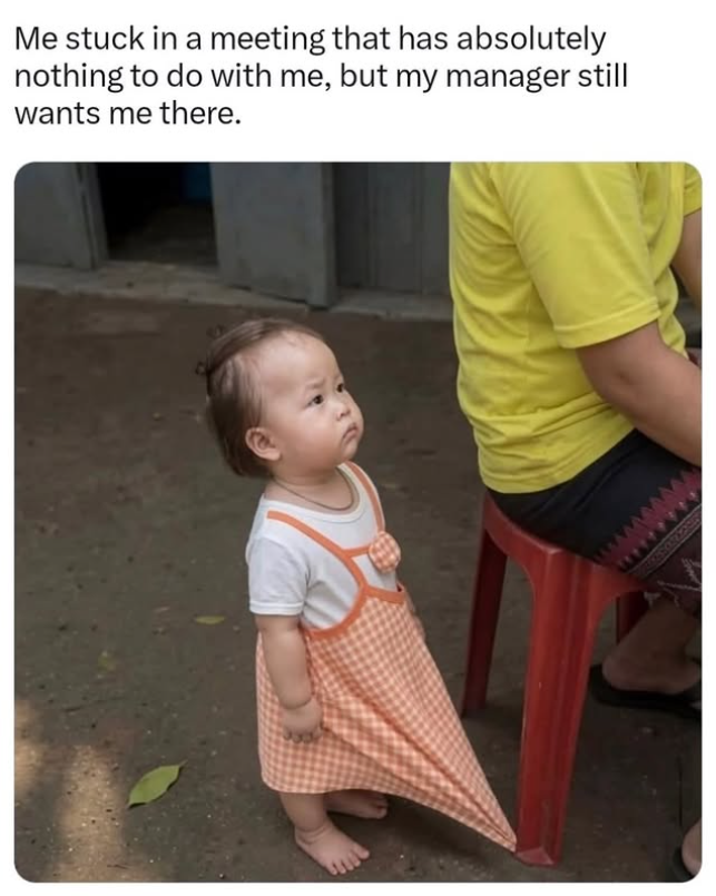 Me stuck in a meeting that has absolutely nothing to do with me, but my manager still wants me there.