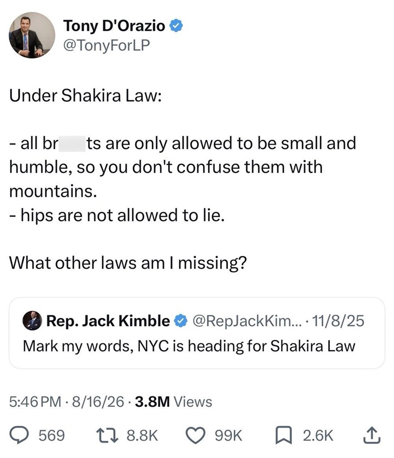 Tony D'Orazio ❤ @TonyForLP Under Shakira Law: - all br ts are only allowed to be small and humble, so you don't confuse them with mountains. - hips are not allowed to lie. What other laws am I missing? Rep. Jack Kimble @RepJackKim.... 11/8/25 Mark my words, NYC is heading for Shakira Law 5:46 PM 8/16/26 3.8M Views . 569 17 8.8K 99K ☐ 2.6K ↑