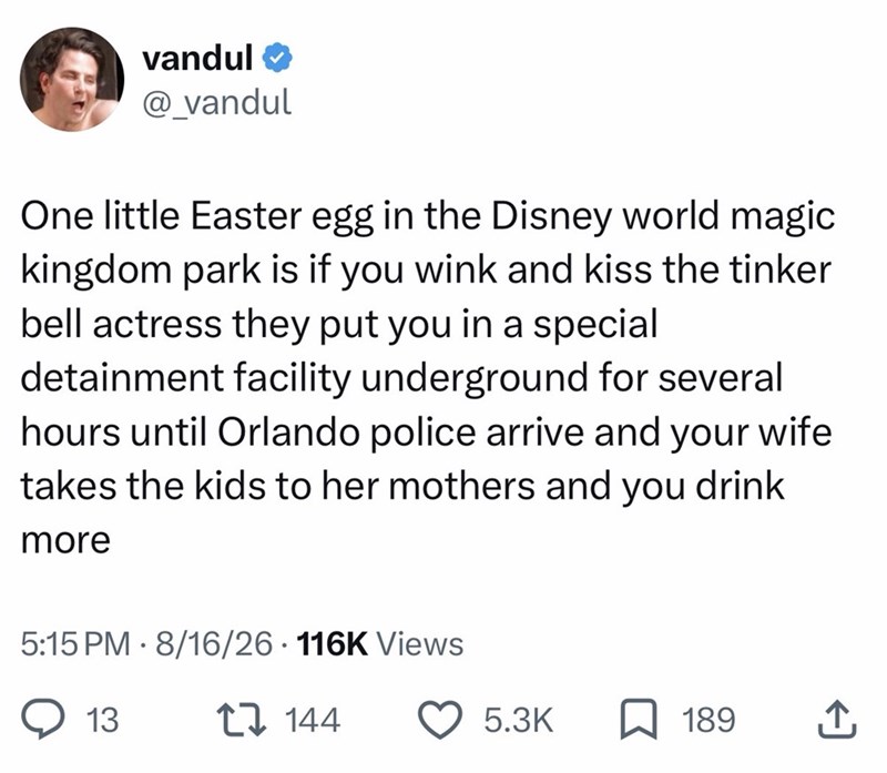 vandul @_vandul One little Easter egg in the Disney world magic kingdom park is if you wink and kiss the tinker bell actress they put you in a special detainment facility underground for several hours until Orlando police arrive and your wife takes the kids to her mothers and you drink more 5:15 PM 8/16/26 116K Views 13 144 5.3K 189 ↑