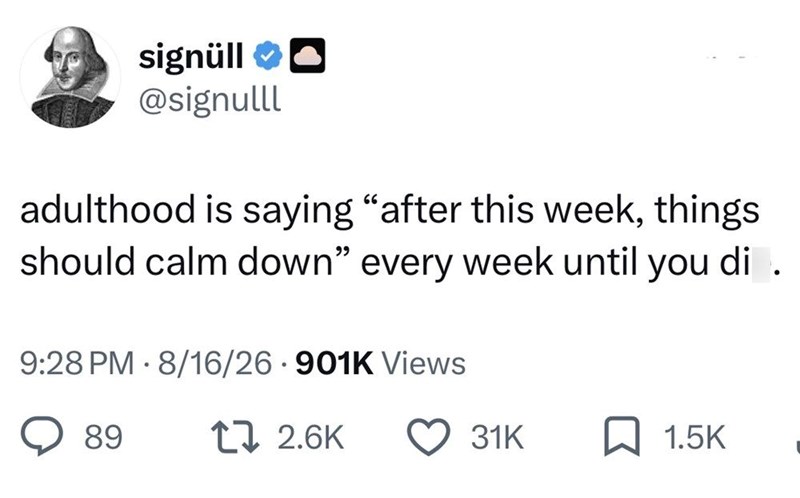 signüll @signulll adulthood is saying "after this week, things should calm down" every week until you di . 9:28 PM 8/16/26-901K Views 89 17 2.6K 31K 1.5K