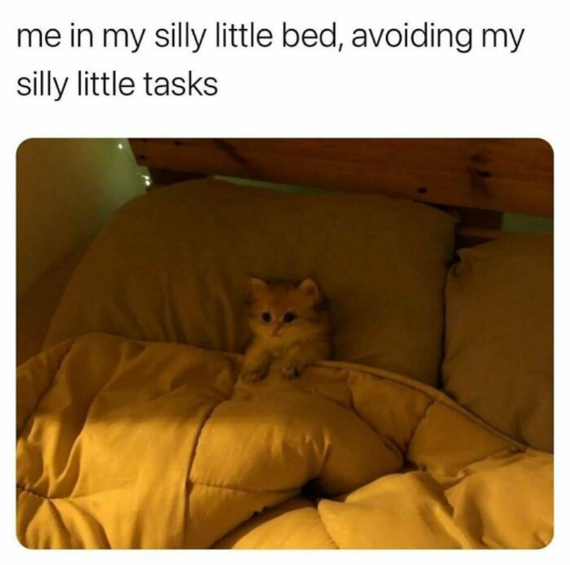 me in my silly little bed, avoiding my silly little tasks