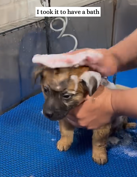 I took it to have a bath