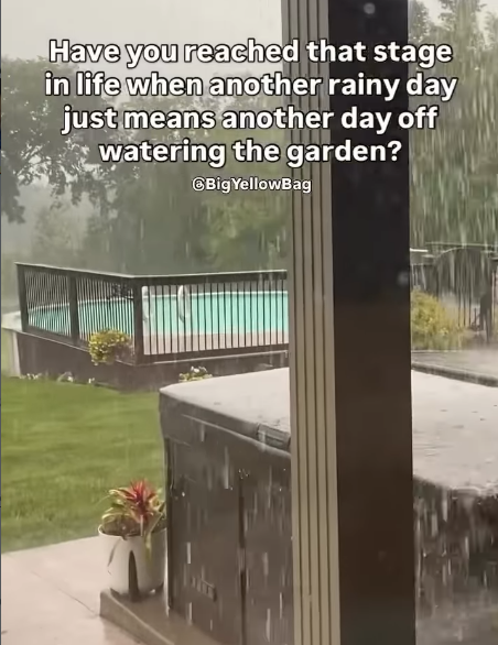 Have you reached that stage in life when another rainy day just means another day off watering the garden? Big YellowBag