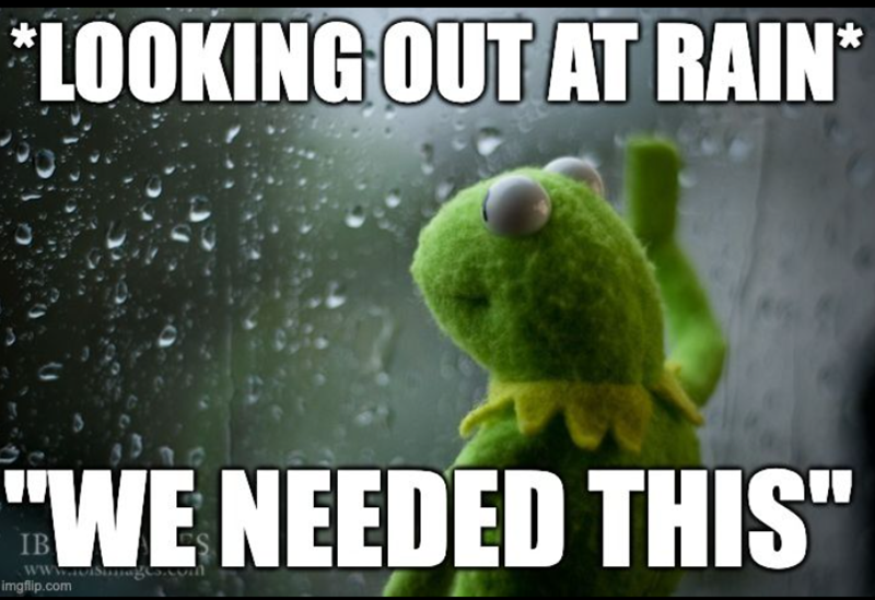 *LOOKING OUT AT RAIN* "WE NEEDED THIS" www.visi imgflip.com