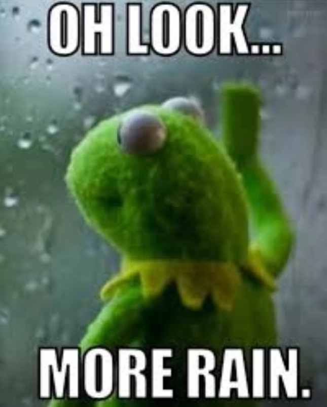 OH LOOK... MORE RAIN.