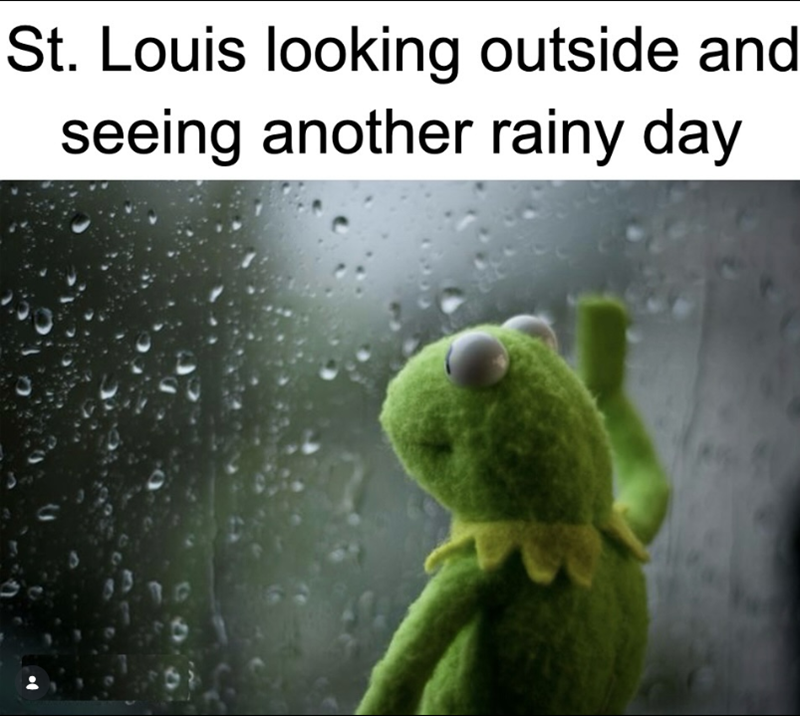St. Louis looking outside and seeing another rainy day