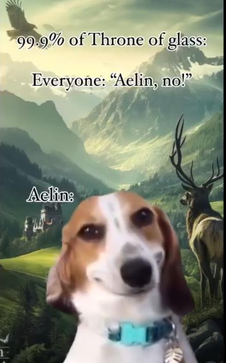 99.9% of Throne of glass: Everyone: “Aelin, no!” Aelin: