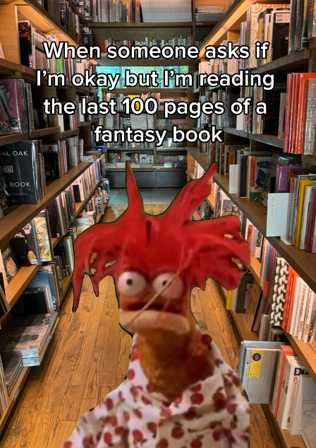 CAL OAK 39 BOOK When someone asks if I'm okay but I'm reading the last 100 pages of a fantasy book DI