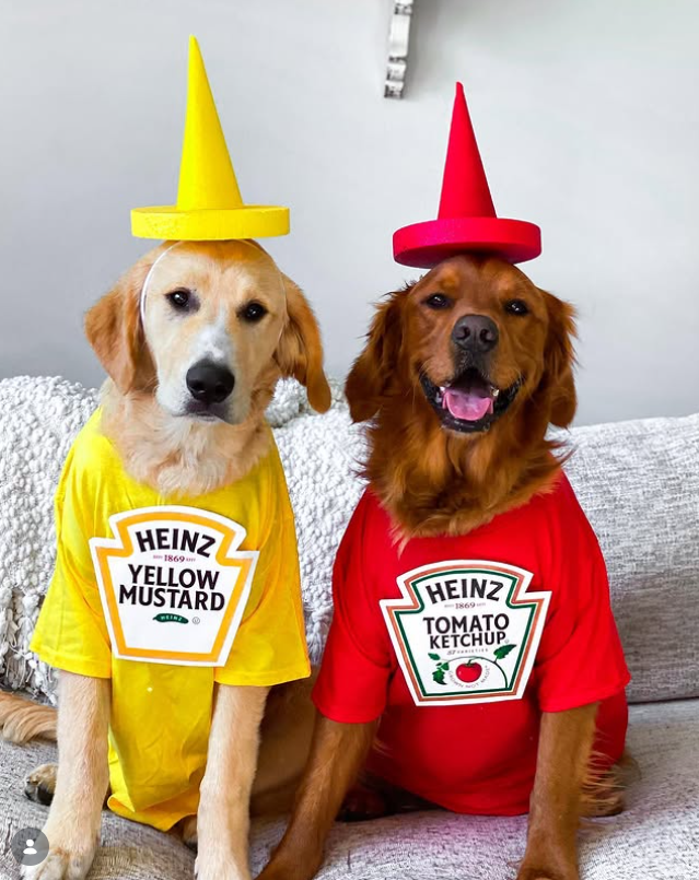 HEINZ 1869 YELLOW MUSTARD HEINZ 1869 TOMATO KETCHUP