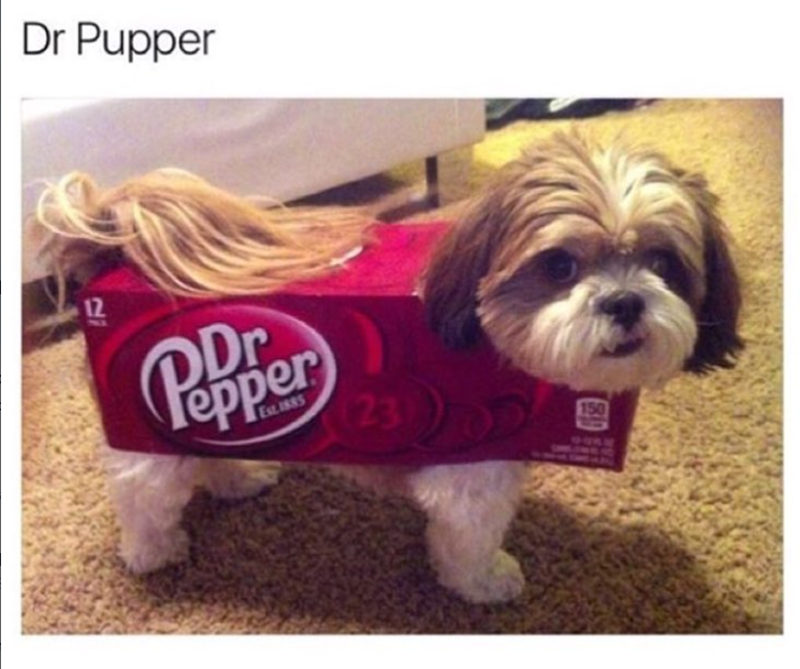 Dr Pupper 12 Dr Pepper Est. 1885 123 230 150