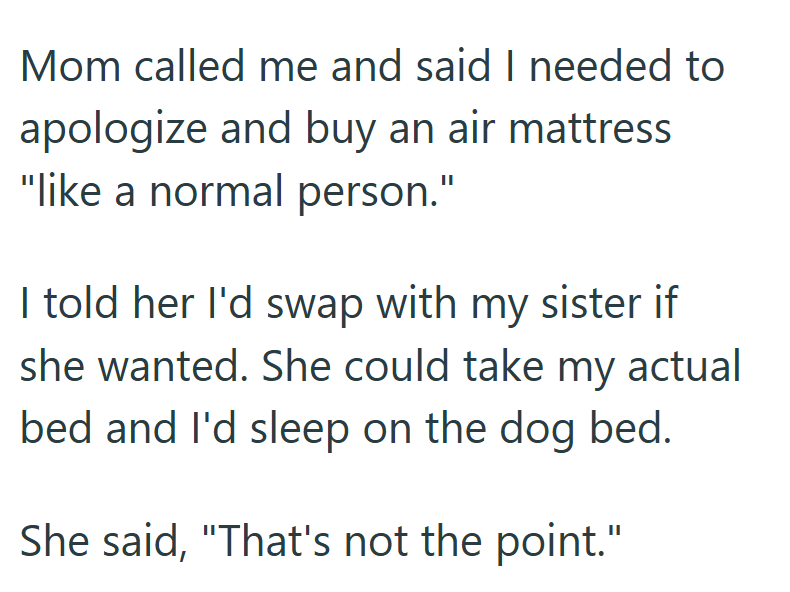 Mom called me and said I needed to apologize and buy an air mattress "like a normal person." I told her I'd swap with my sister if she wanted. She could take my actual bed and I'd sleep on the dog bed. She said, "That's not the point."