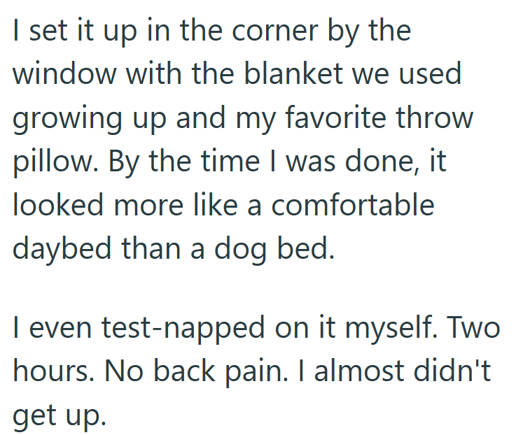 I set it up in the corner by the window with the blanket we used growing up and my favorite throw pillow. By the time I was done, it looked more like a comfortable daybed than a dog bed. I even test-napped on it myself. Two hours. No back pain. I almost didn't get up.