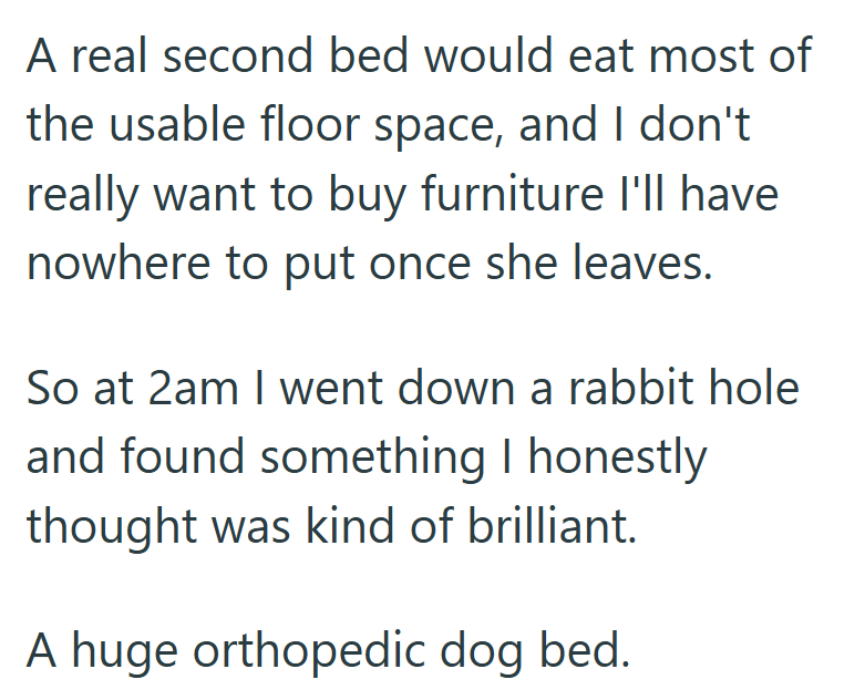 A real second bed would eat most of the usable floor space, and I don't really want to buy furniture I'll have nowhere to put once she leaves. So at 2am I went down a rabbit hole and found something I honestly thought was kind of brilliant. A huge orthopedic dog bed.