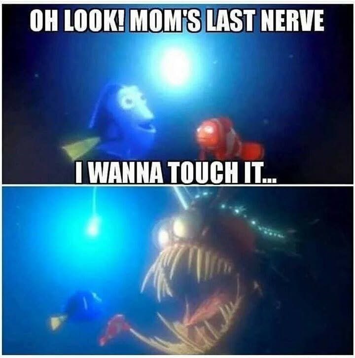 OH LOOK! MOM'S LAST NERVE I WANNA TOUCH IT...