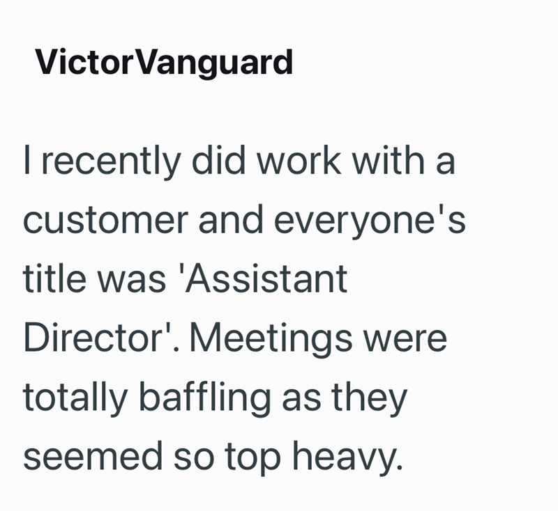 Victor Vanguard I recently did work with a customer and everyone's title was 'Assistant Director'. Meetings were totally baffling as they seemed so top heavy.