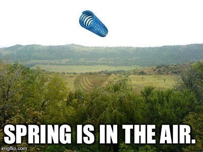 SPRING IS IN THE AIR. imgflip.com