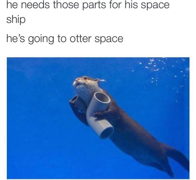 he needs those parts for his space ship he's going to otter space