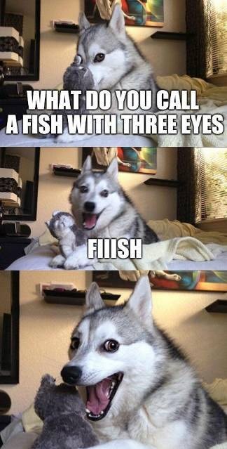 WHAT DO YOU CALL A FISH WITH THREE EYES FIIISH