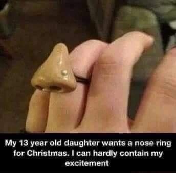 My 13 year old daughter wants a nose ring for Christmas. I can hardly contain my excitement