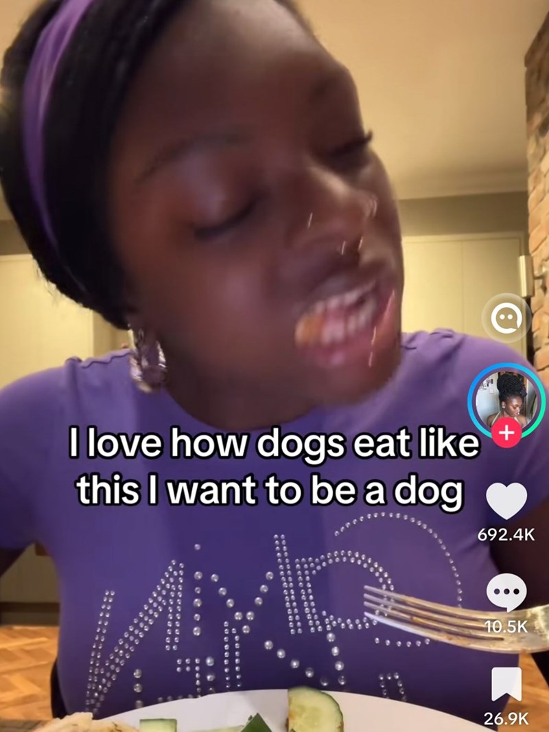 I love how dogs eat like this I want to be a dog + 692.4K 10.5K 26.9K