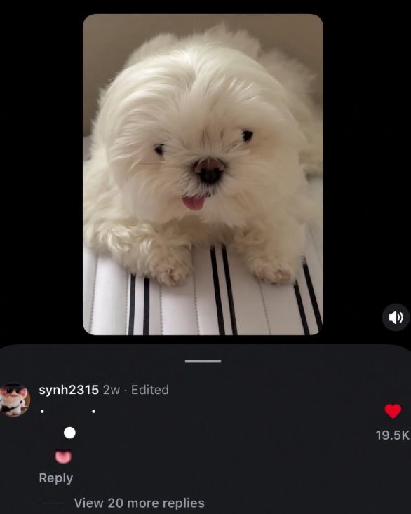 synh2315 2w - Edited Reply View 20 more replies 19.5K