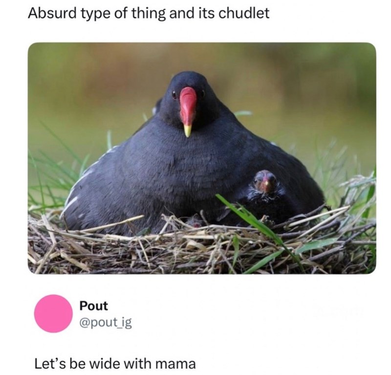 Absurd type of thing and its chudlet Pout @pout_ig Let's be wide with mama
