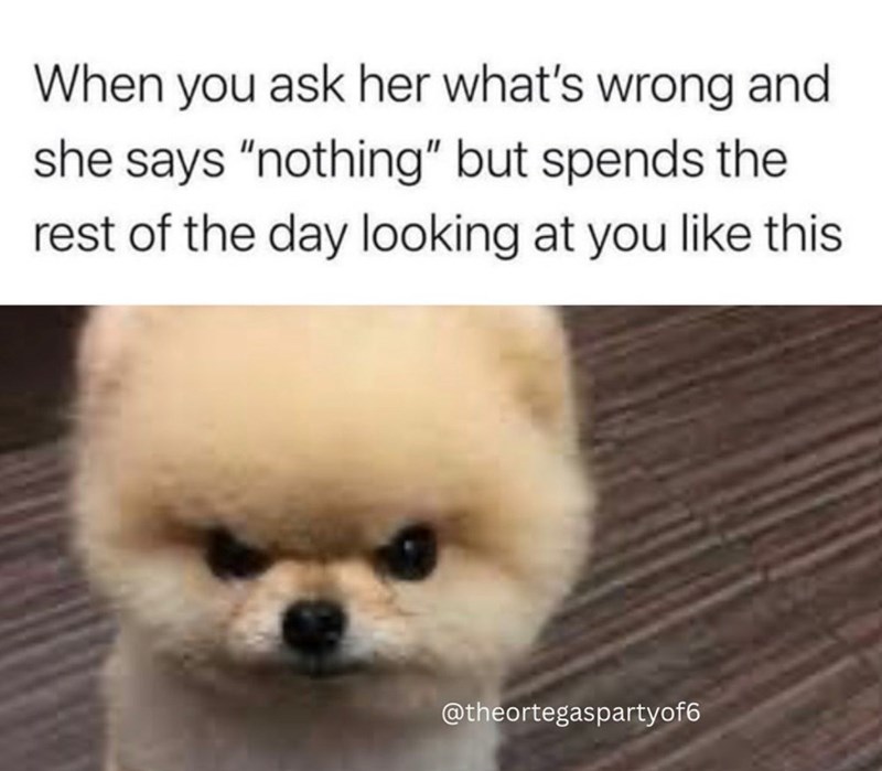 When you ask her what's wrong and she says "nothing" but spends the rest of the day looking at you like this @theortegaspartyof6