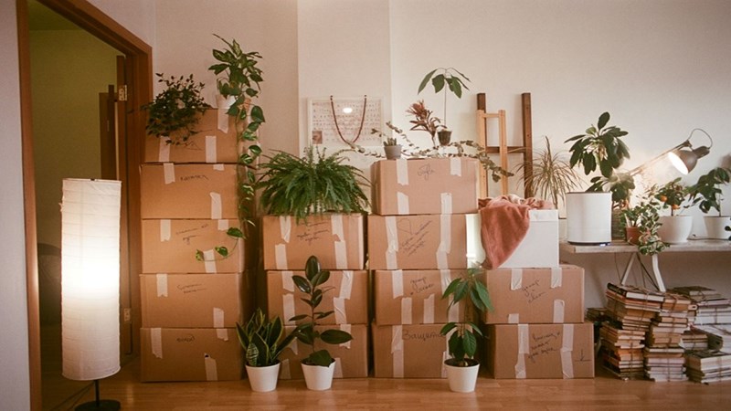 Moving boxes stacked out inside a room.