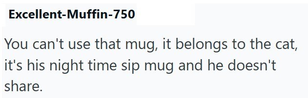 Excellent-Muffin-750 You can't use that mug, it belongs to the cat, it's his night time sip mug and he doesn't share.