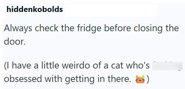 hiddenkobolds Always check the fridge before closing the door. (I have a little weirdo of a cat who's obsessed with getting in there.