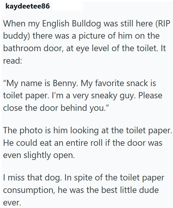 kaydeetee86 When my English Bulldog was still here (RIP buddy) there was a picture of him on the bathroom door, at eye level of the toilet. It read: "My name is Benny. My favorite snack is toilet paper. I'm a very sneaky guy. Please close the door behind you." The photo is him looking at the toilet paper. He could eat an entire roll if the door was even slightly open. I miss that dog. In spite of the toilet paper consumption, he was the best little dude ever.