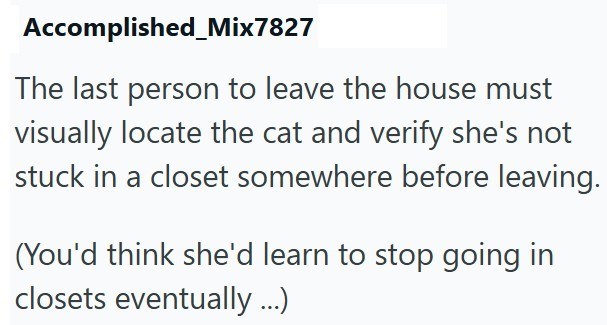 Accomplished_Mix7827 The last person to leave the house must visually locate the cat and verify she's not stuck in a closet somewhere before leaving. (You'd think she'd learn to stop going in closets eventually ...)