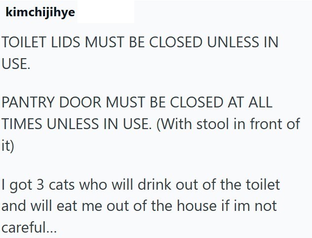 kimchijihye TOILET LIDS MUST BE CLOSED UNLESS IN USE. PANTRY DOOR MUST BE CLOSED AT ALL TIMES UNLESS IN USE. (With stool in front of it) I got 3 cats who will drink out of the toilet and will eat me out of the house if im not careful...