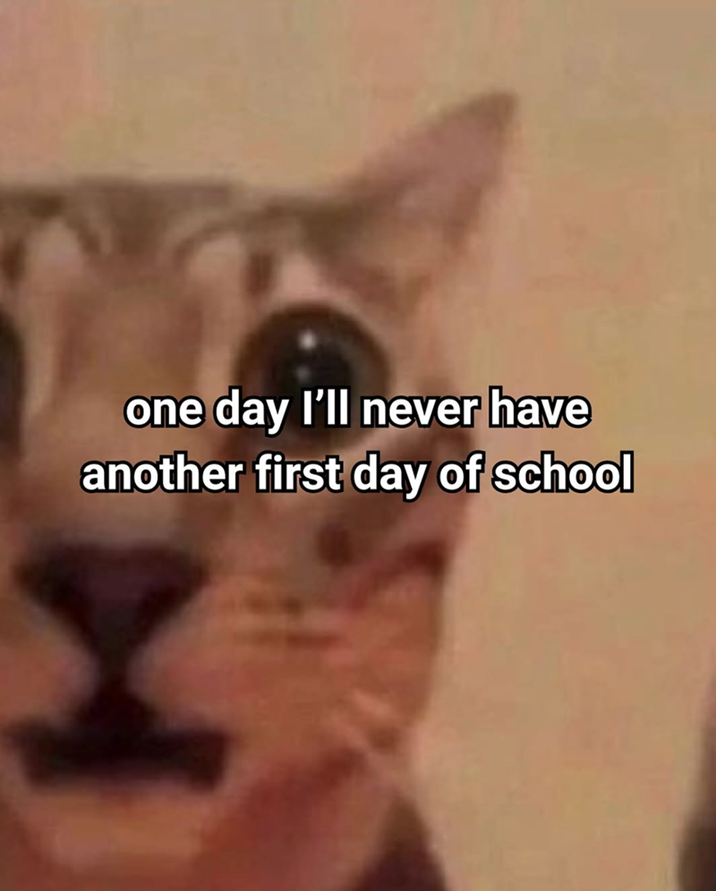 one day I'll never have another first day of school