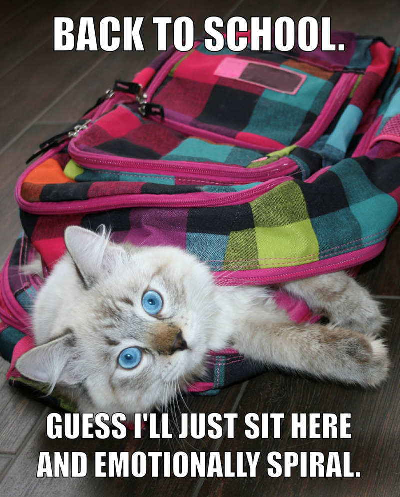 BACK TO SCHOOL. GUESS I'LL JUST SIT HERE AND EMOTIONALLY SPIRAL.