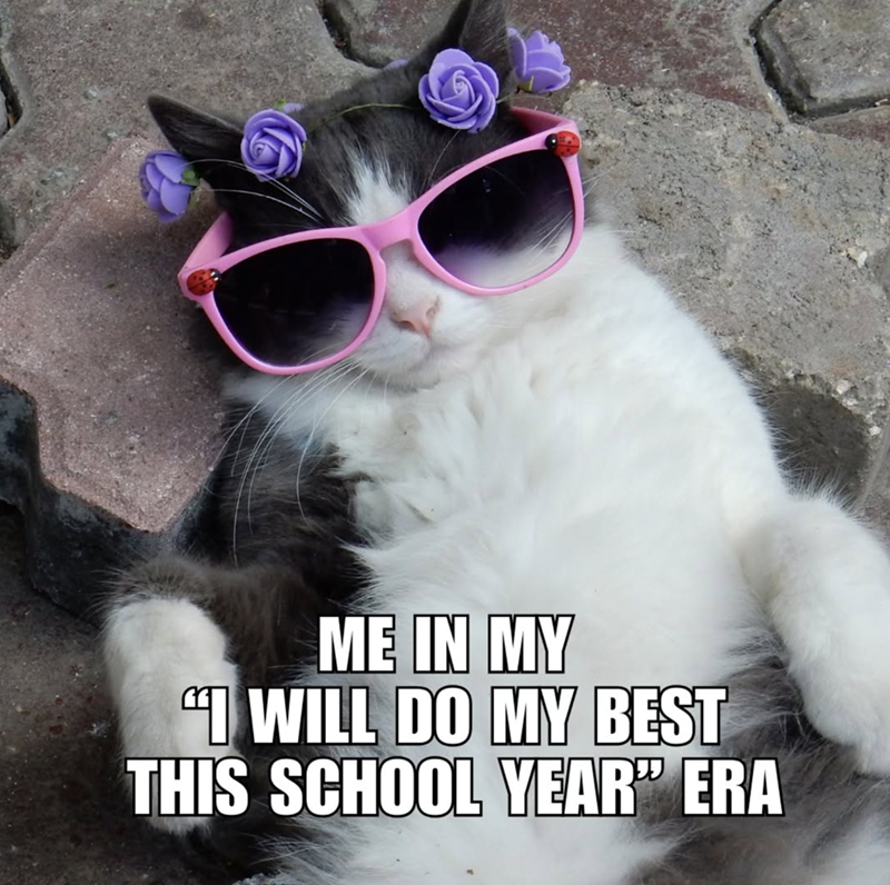 ME IN MY "I WILL DO MY BEST THIS SCHOOL YEAR" ERA