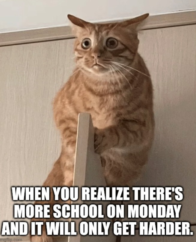 WHEN YOU REALIZE THERE'S MORE SCHOOL ON MONDAY AND IT WILL ONLY GET HARDER. mgflip.com