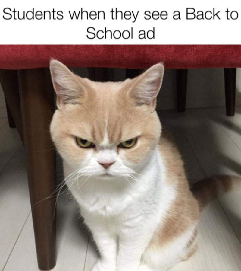 Students when they see a Back to School ad