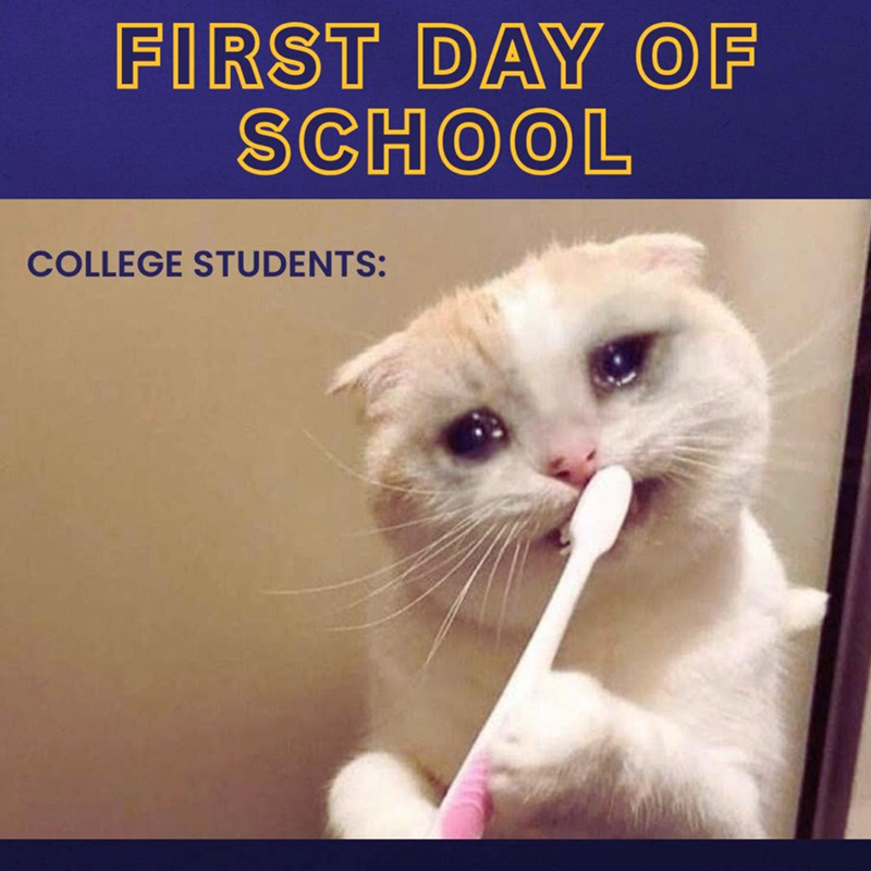 FIRST DAY OF SCHOOL COLLEGE STUDENTS: