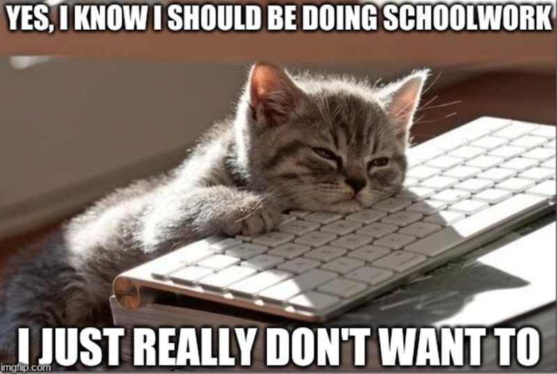 YES, I KNOW I SHOULD BE DOING SCHOOLWORK I JUST REALLY DON'T WANT TO imgflip.com