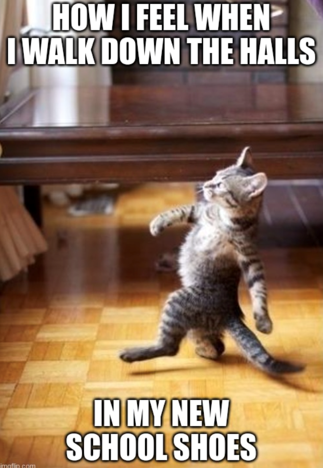 HOW I FEEL WHEN I WALK DOWN THE HALLS imaflip.com IN MY NEW SCHOOL SHOES