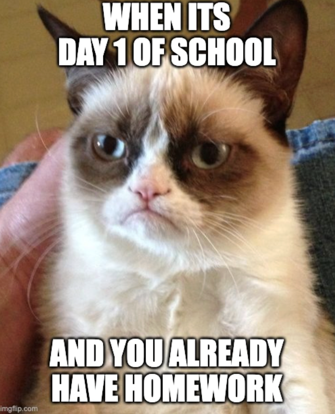 WHEN ITS DAY 1 OF SCHOOL imgflip.com AND YOU ALREADY HAVE HOMEWORK